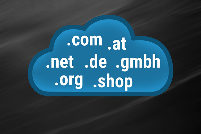 Web Coding 24 Domains